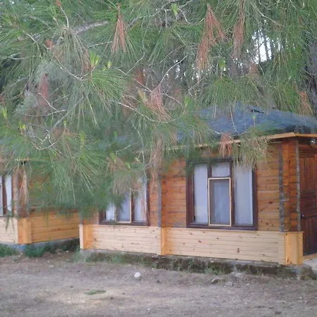 Hotel Olympos Woods - Adults Only 3*