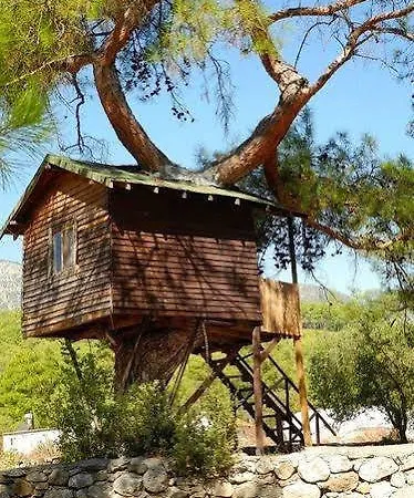 Olympos Woods - Adults Only