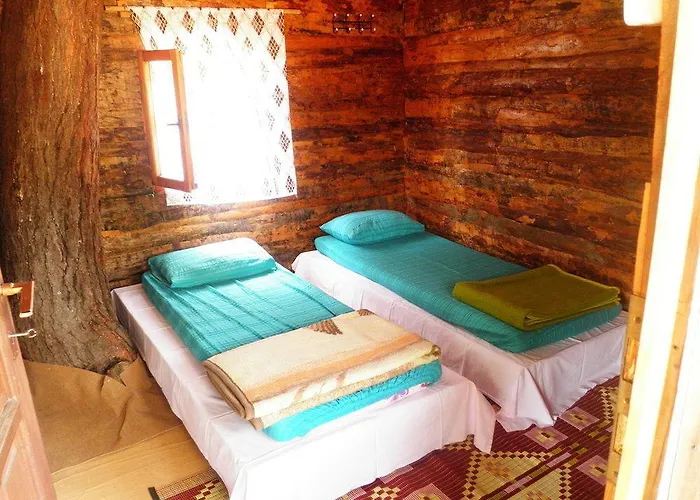 فندق Olympos Woods - Adults Only أدراسان