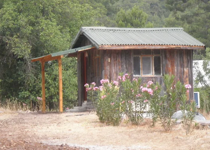 Olympos Woods - Adults Only فندق أدراسان