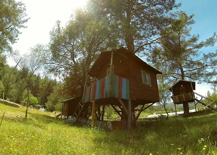 Olympos Woods - Adults Only 3* أدراسان