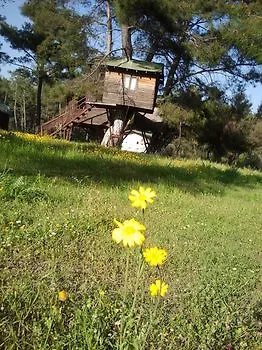 Olympos Woods - Adults Only فندق أدراسان