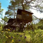Hotel Olympos Woods - Adults Only Adrasan