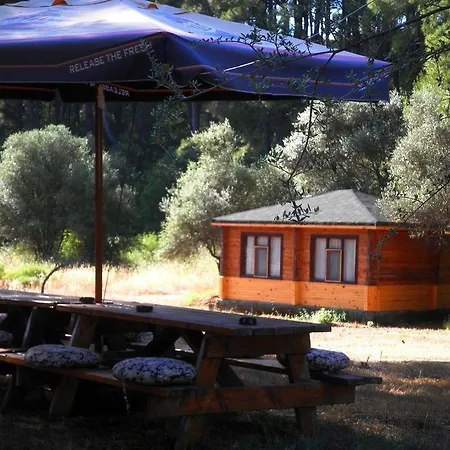 Ξενοδοχείο Olympos Woods - Adults Only 3*