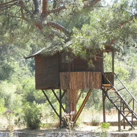 Olympos Woods - Adults Only 3*