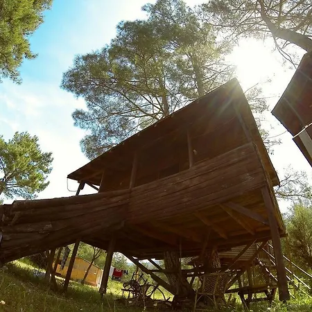 Olympos Woods - Adults Only 3* Adrasan