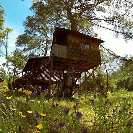 فندق Olympos Woods - Adults Only أدراسان