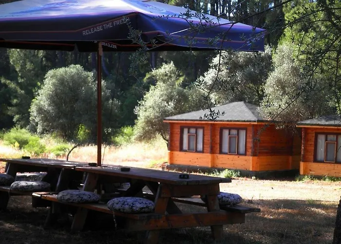 Hotel Olympos Woods - Adults Only 3*