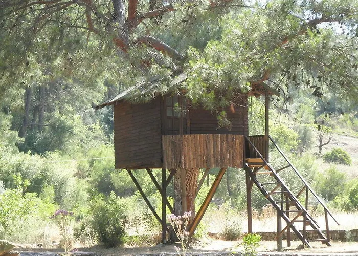 Olympos Woods - Adults Only 3*