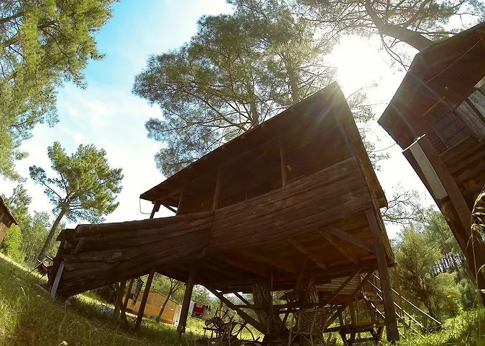 Olympos Woods - Adults Only 3* Adrasan