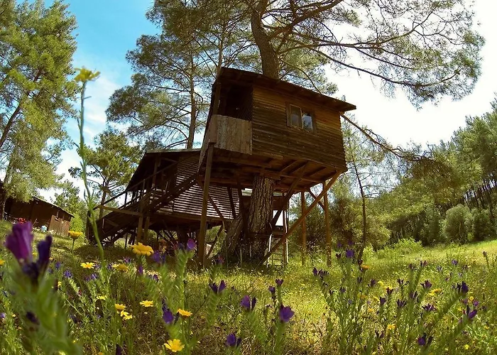 Hotell Olympos Woods - Adults Only Adrasan